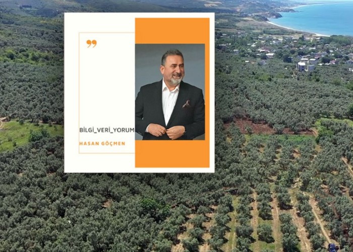 Konut yapmak için zeytin kesilemez