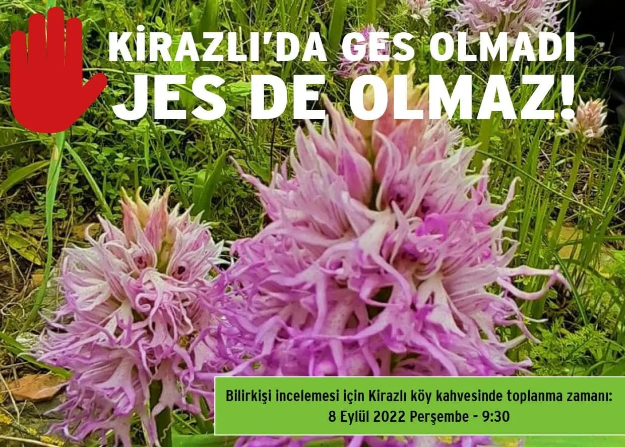 Çevrecilerin “Sarı Öküz” kavgası!