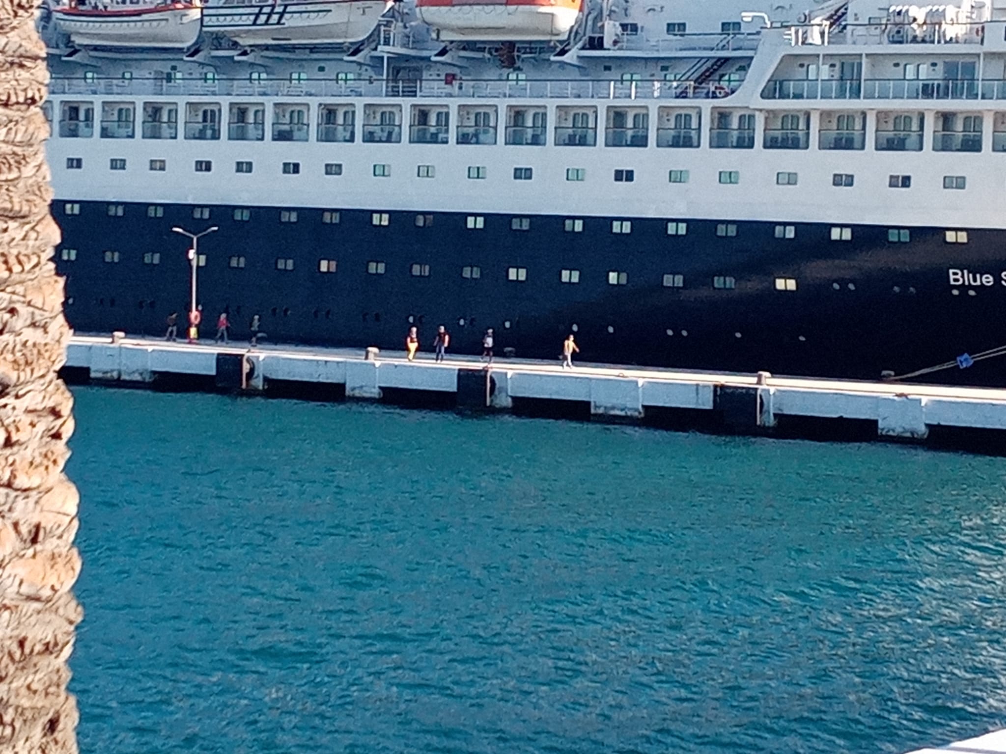 Kuşadası Limanı’nda sürpriz konuklar!