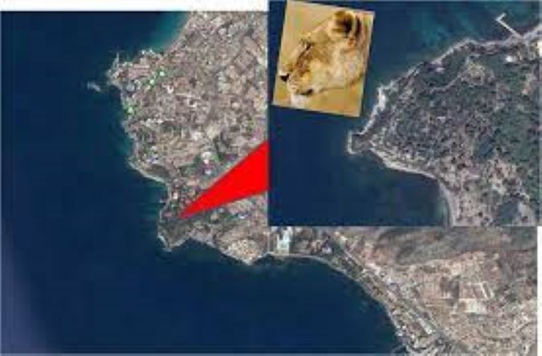 CIA’nın gizli Kuşadası günlükleri 