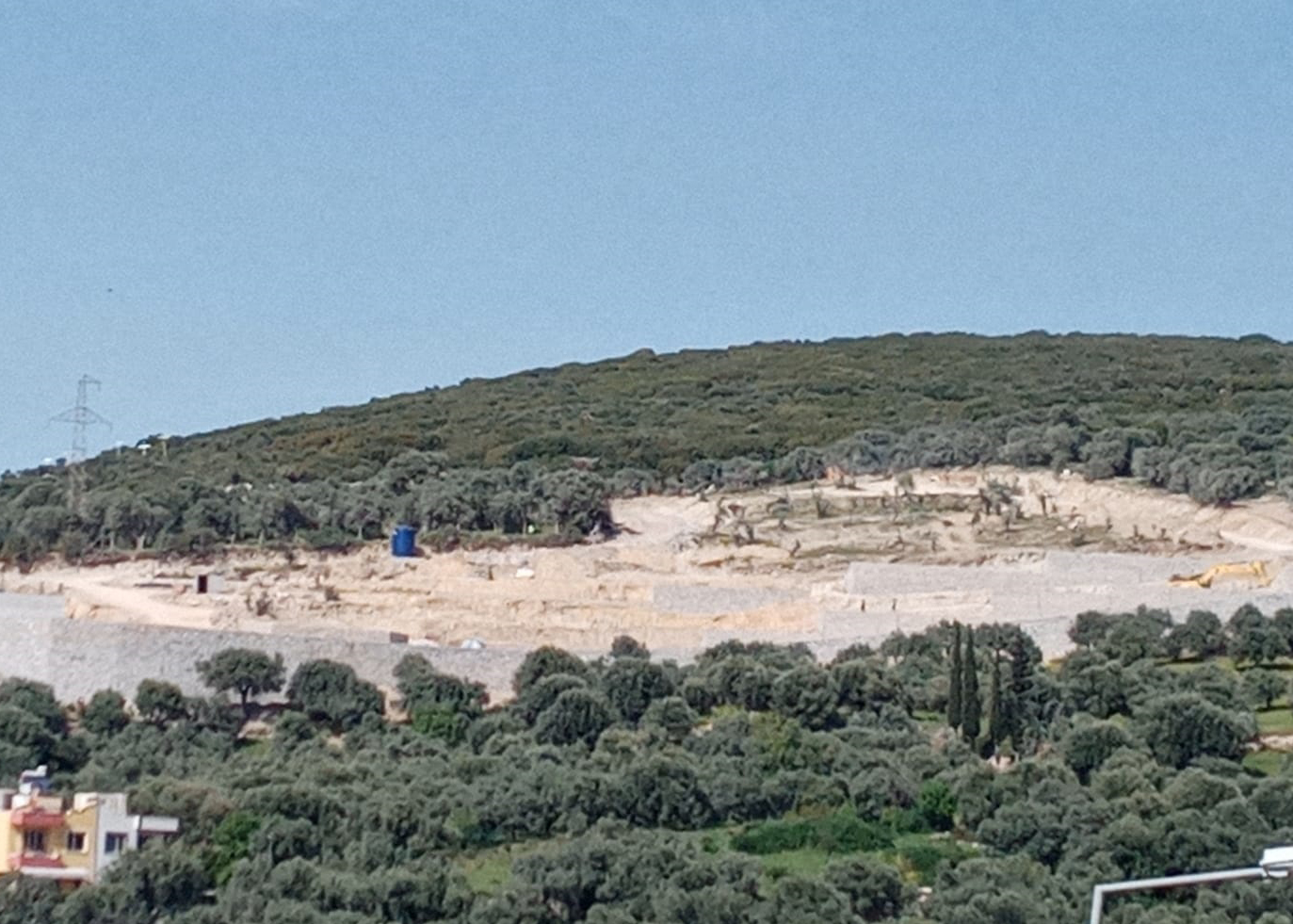 Kuşadası’ndaki doğa katliamı Akbelen’i bile gölgede bıraktı!