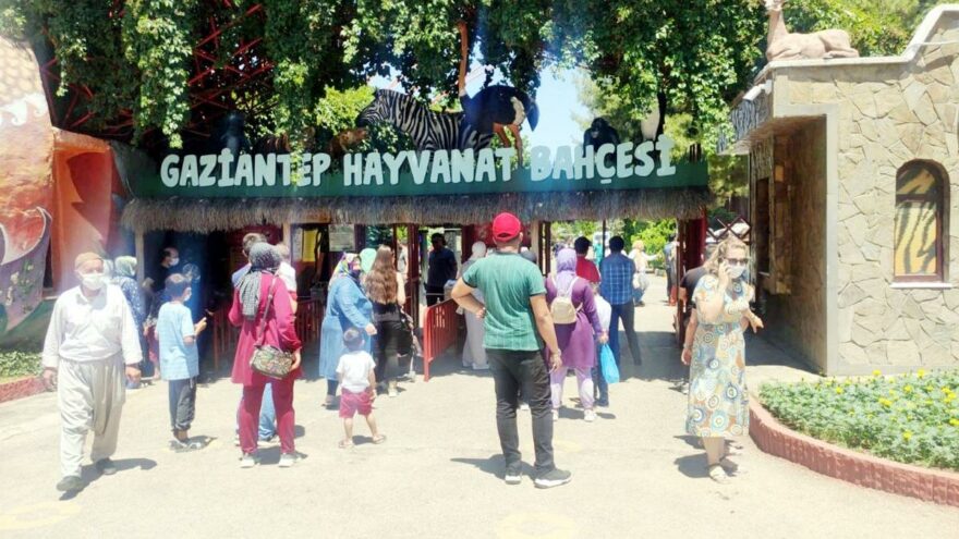 Gaziantep’te aslan  saldırısı: 3 yaralı