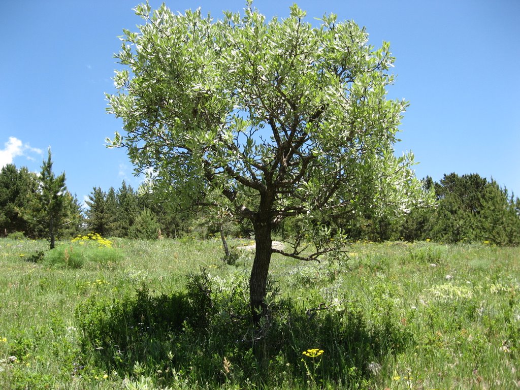  Avcılar doğaya bereket aşılıyor!