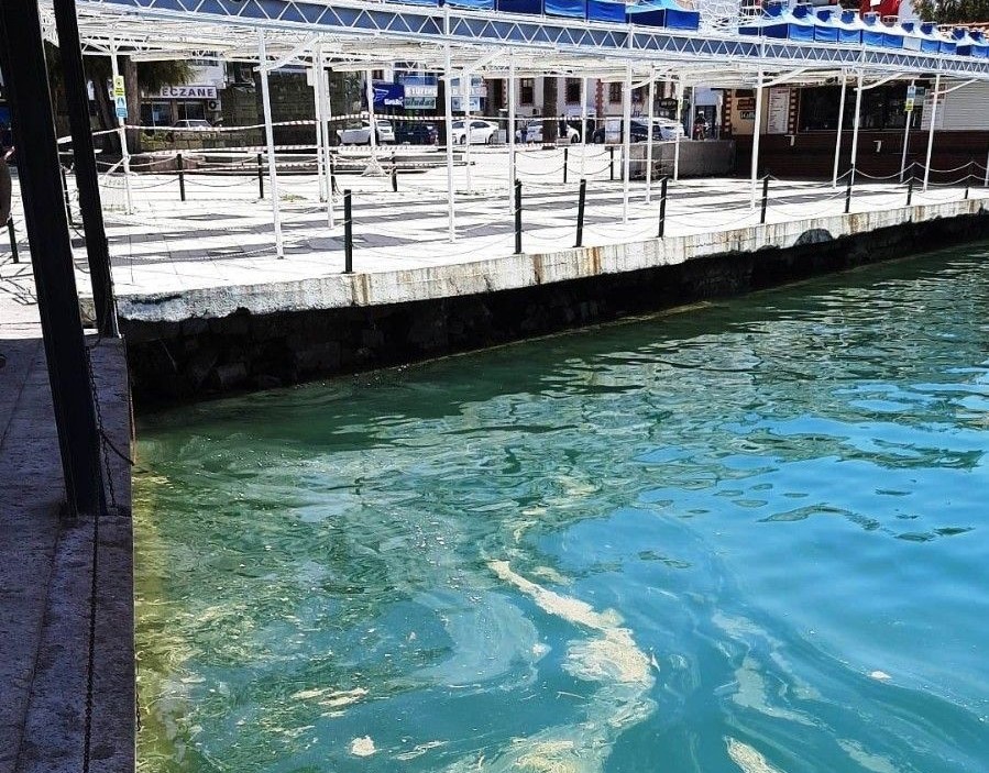 Ayvalık’ta kabus! Gizlenen kirlilik deniz salyası olarak yüzeye vurdu