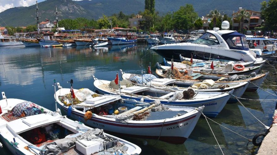 Milli Park'ı tehdit eden projeye fren