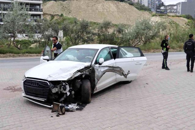 Trafikte böcek terörü!