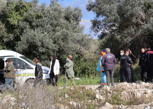 Zeytinlikte dehşet!