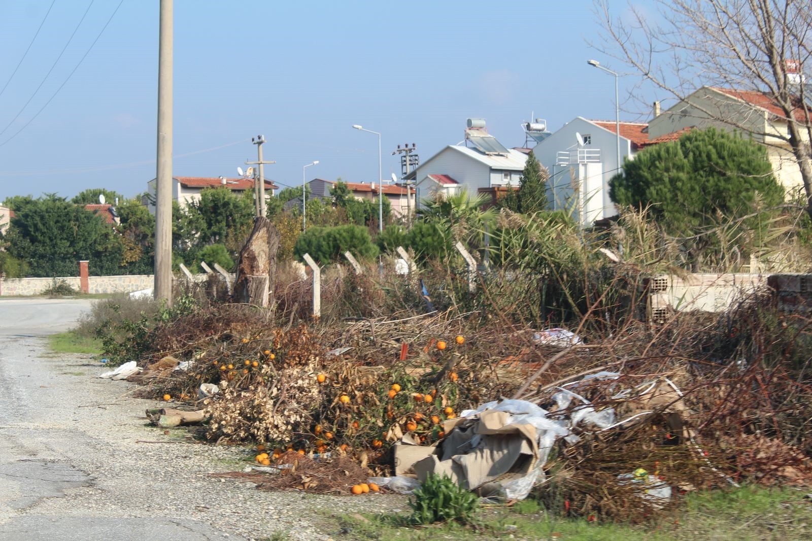 Davutlar dereleri çöp ve molozla doldu!