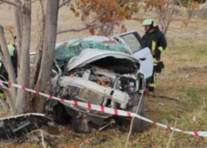 Yoldaki köpeği kurtardı yanındaki eşini kaybetti