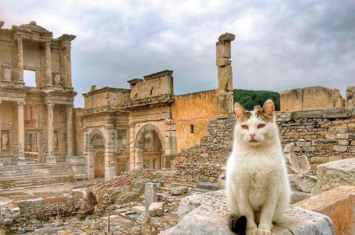 Türkiye’ye gelen yabancı turist sayısı ilk 4 ayda yüzde 35.6 geriledi