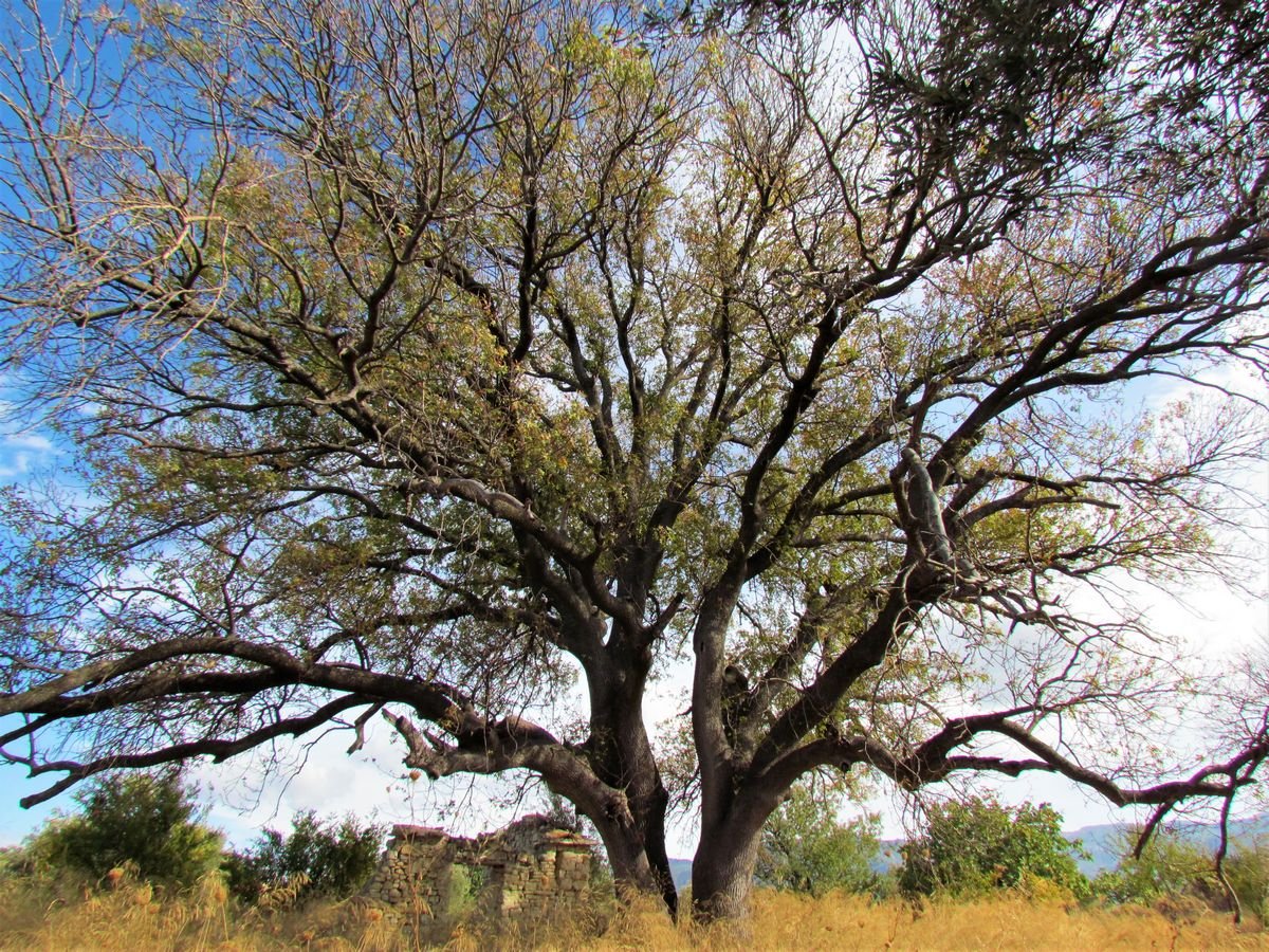 Bunun adı emanete ihanet!