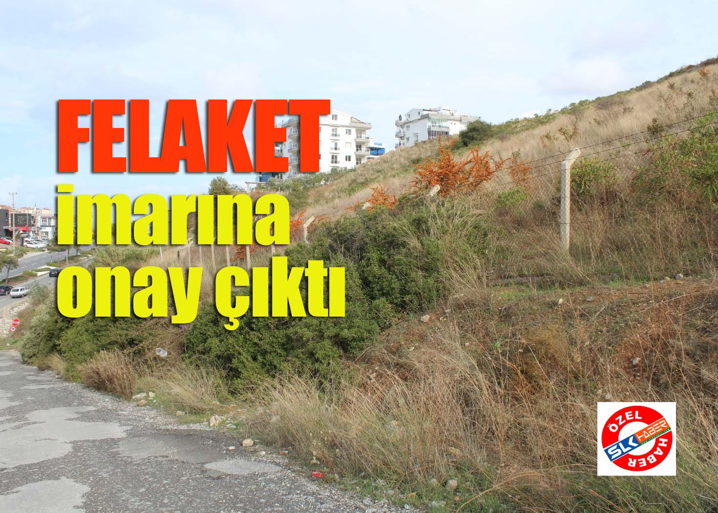 Ağaç dikmek tehlikeli ama AVM değil!