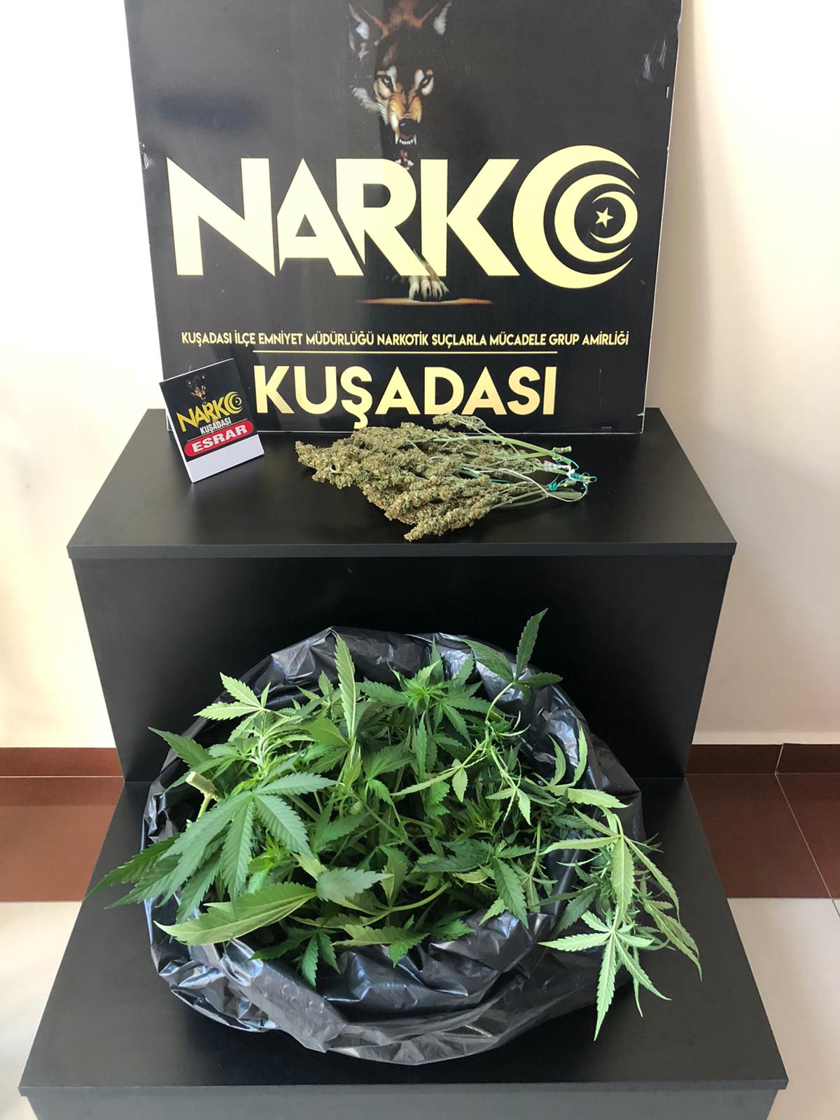 Botanik bahçesi gibi evden 8 saksı ‘hint keneviri’ çıktı