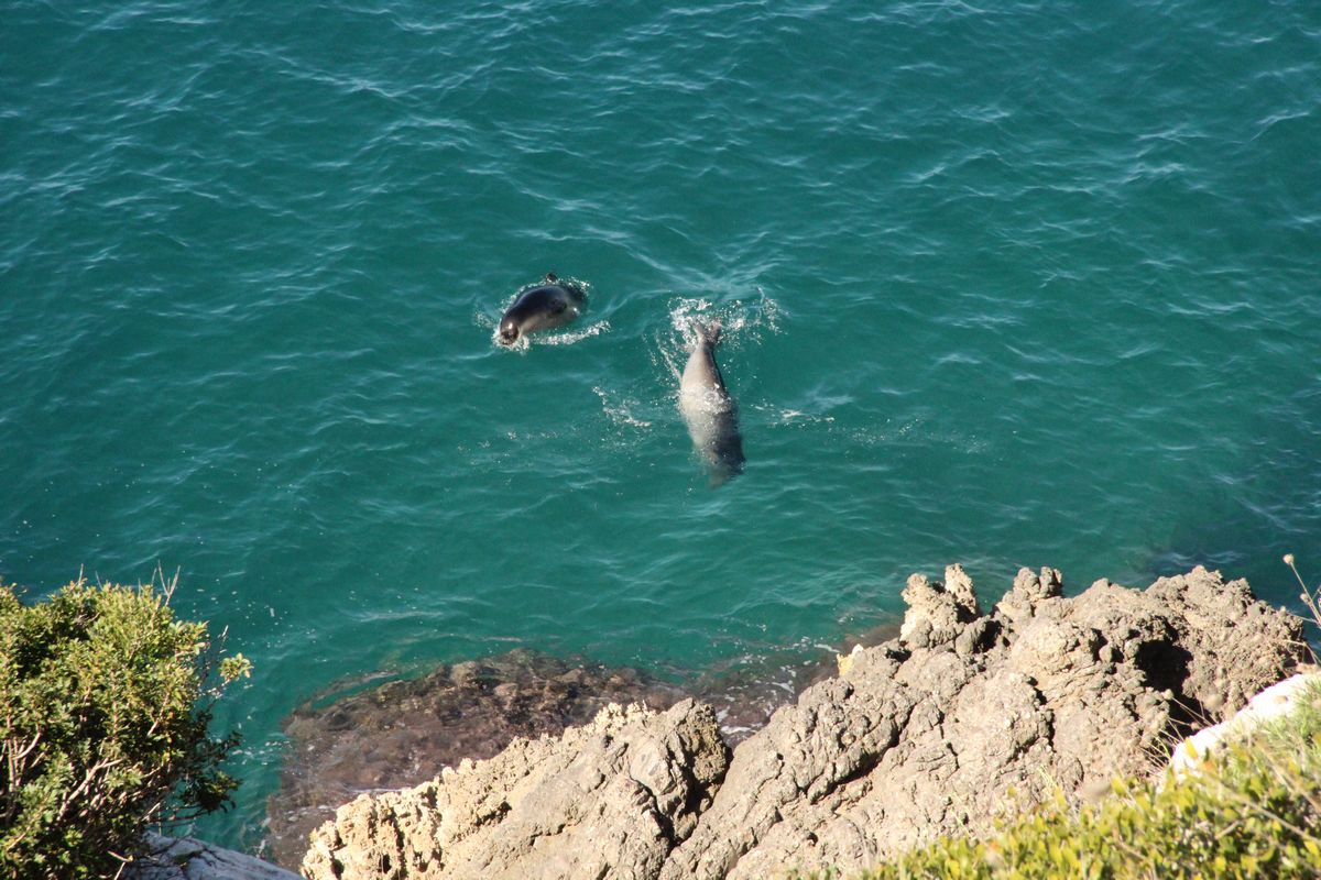 STK’lar, son cennet için kenetlendi