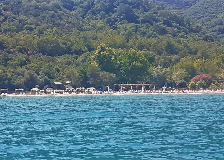 Milli Park’ta doğal hayata tecavüz fotoğraf ve raporlarla belgelendi!