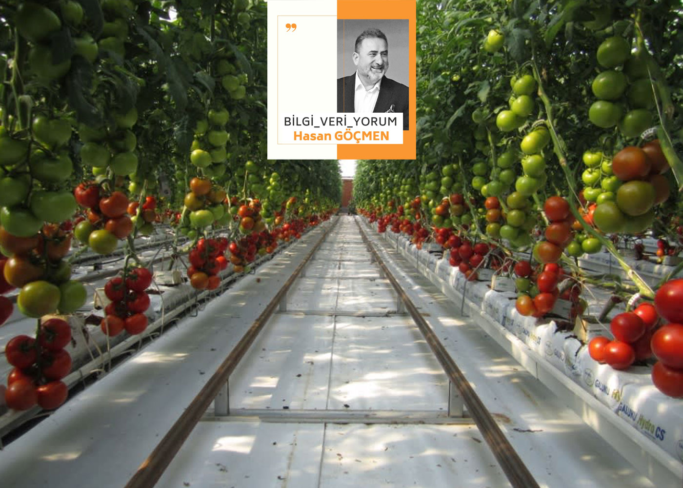 Arazilerini betona kaptıran üretici çözümü topraksız tarımda buldu…