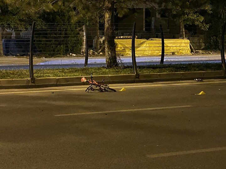 Yola fırlayan çocuğu kurtarmak isteyen 2 yaya ezilerek can verdi