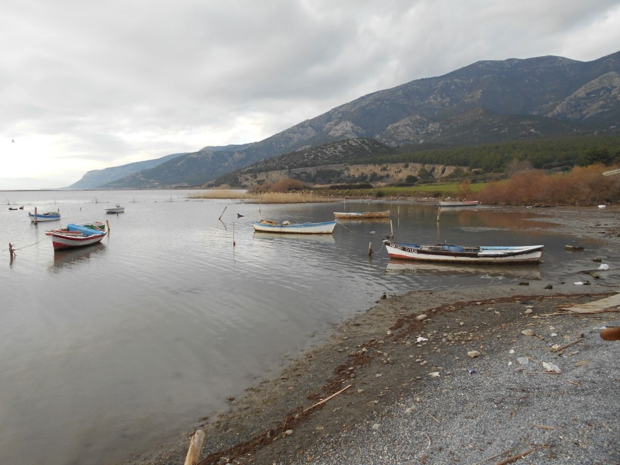 Karina için umut veren iptal!