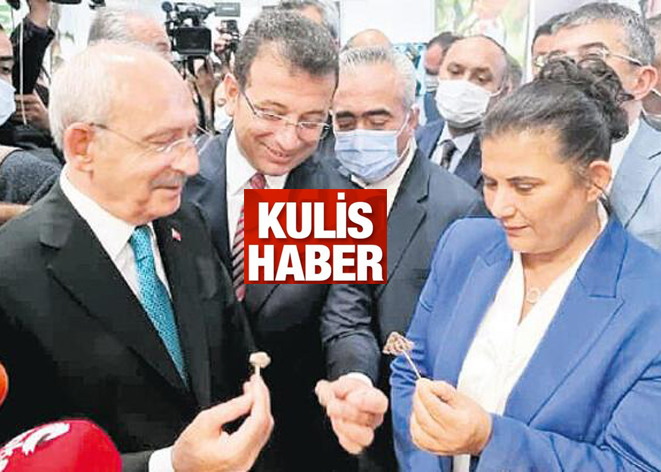 Kılıçdaroğlu’nun Ada sevdasının altında anket sonuçları yatıyor!