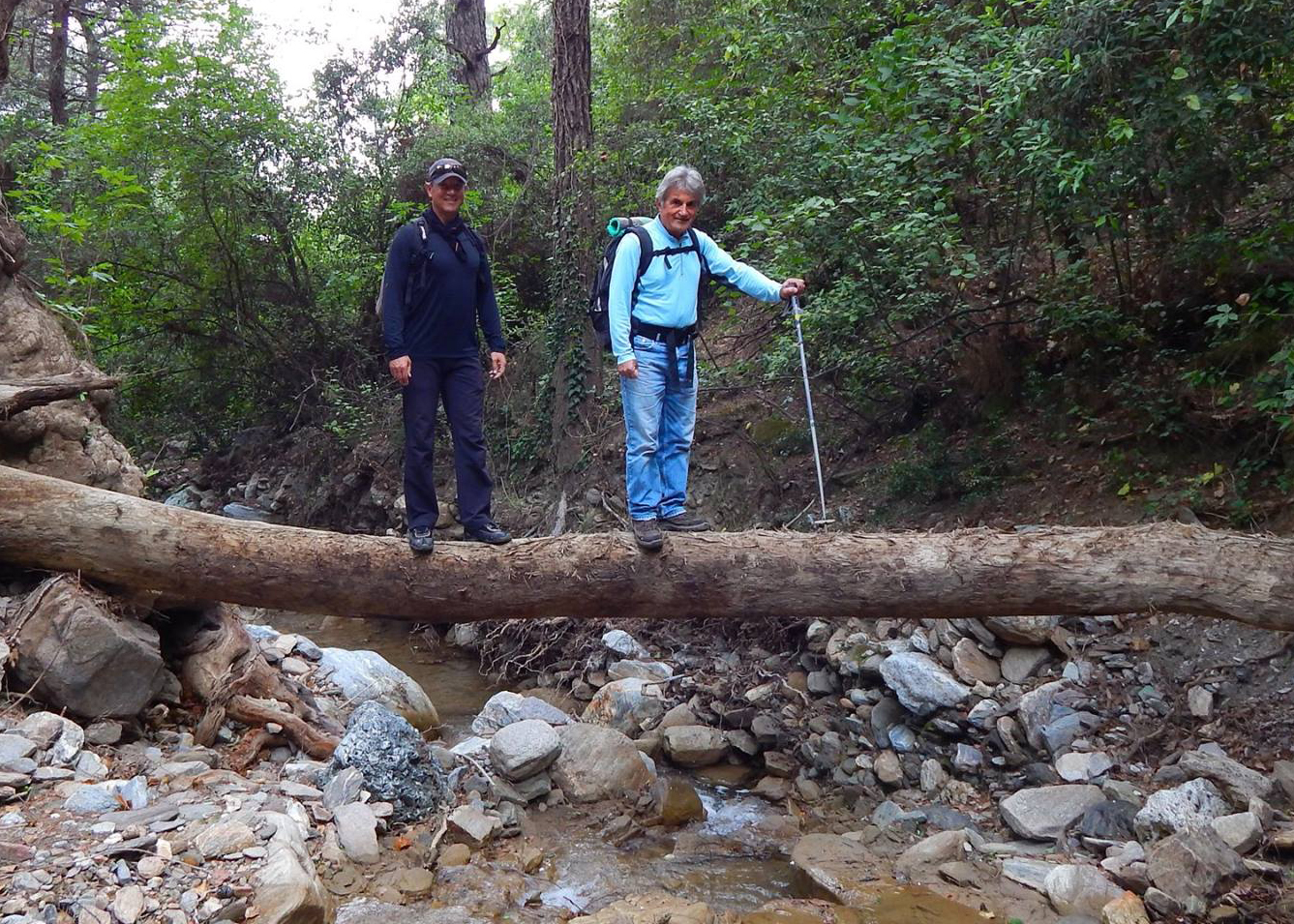 Seviyormuş gibi yapıyoruz, ama gerçekte doğayı hiç sevmiyoruz