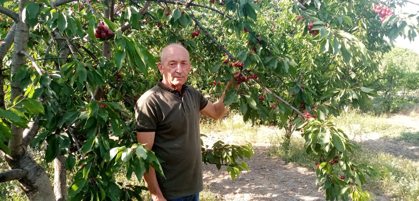 Kirazlı’da festival zamanı!