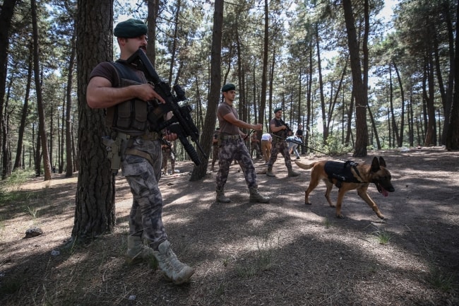 Ormanlarda kundakçı avı!