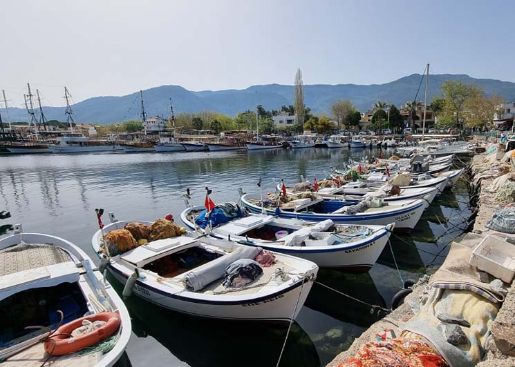 Milli Park tehlikeyi savuşturdu!