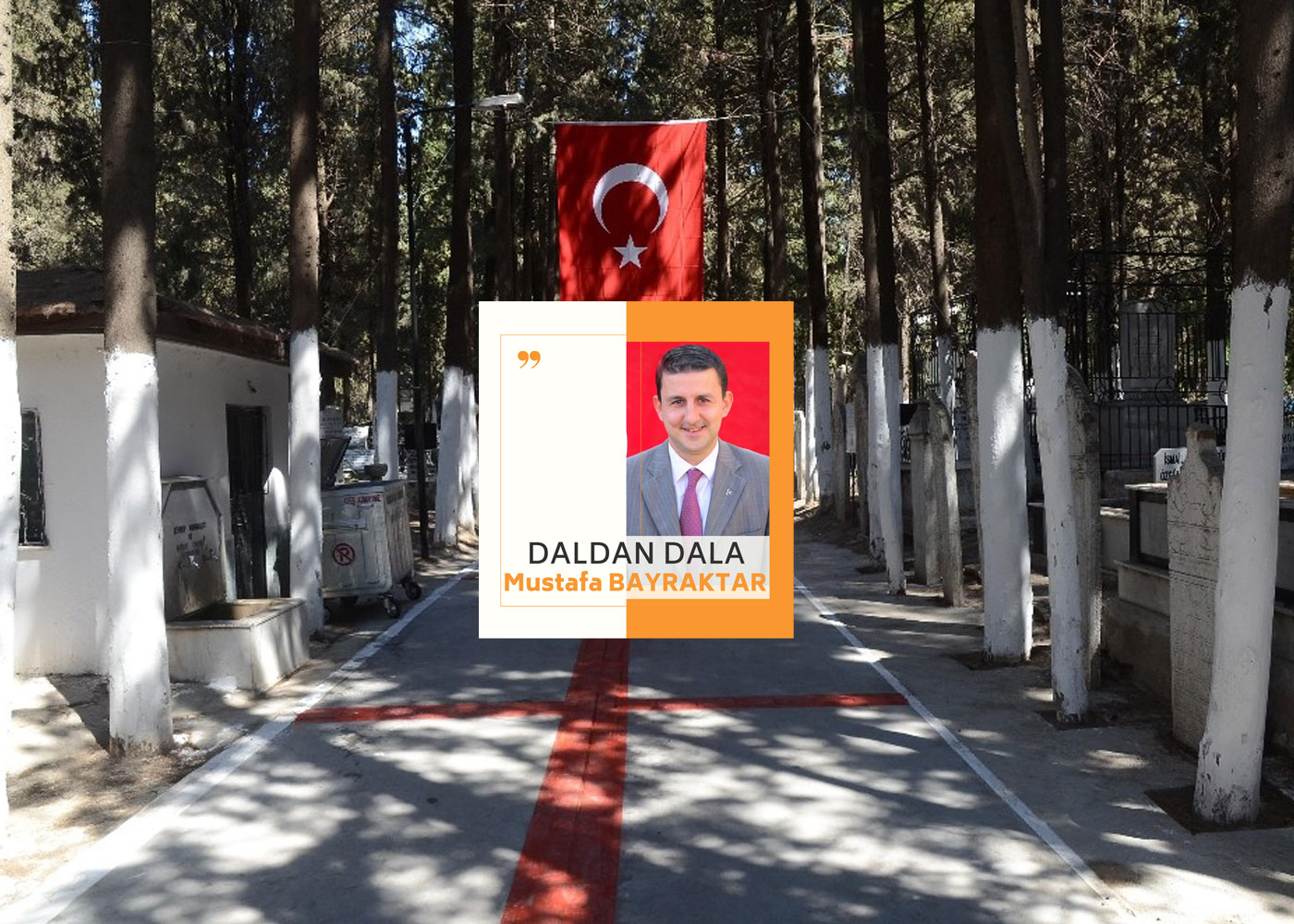 Böyle giderse ağacı ve yeşili sadece mezarlıkta göreceğiz