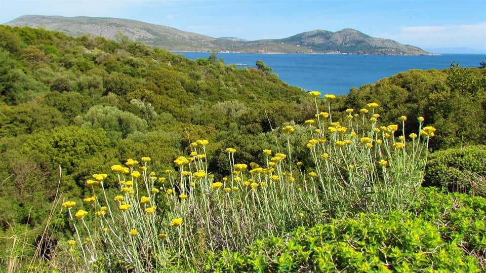 Milli Park’a mangal çağrısı…