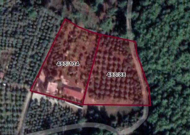 Milli Park’ta acımasız işgal!