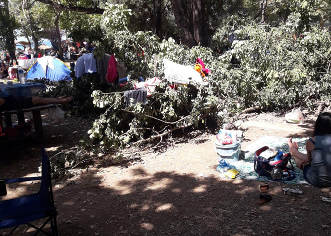 Milli Park’ta kirli hesaplaşma!