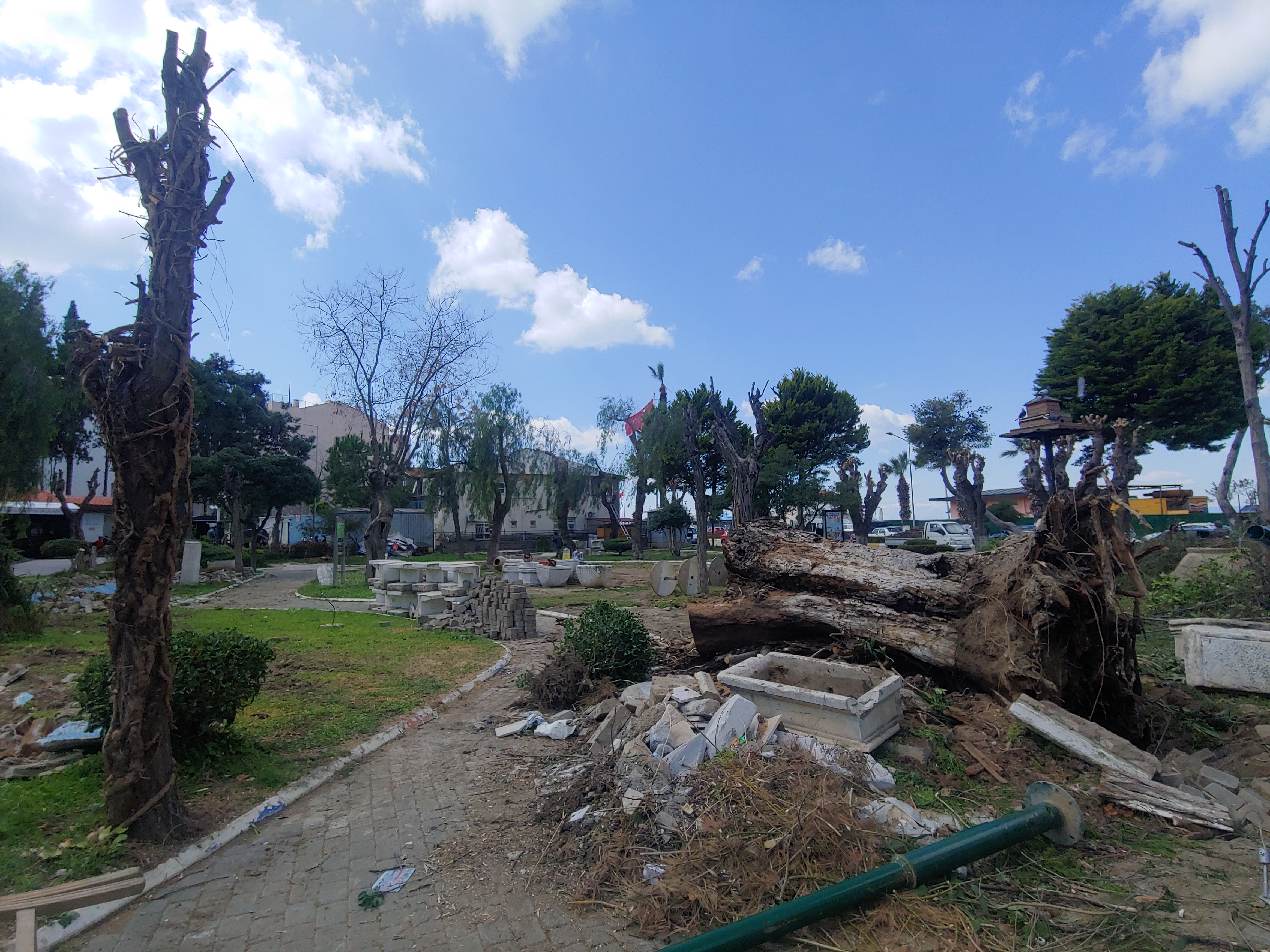 Ağaç kıyımına şaka gibi savunma: Yeşil alan miktarı arttırılacak!