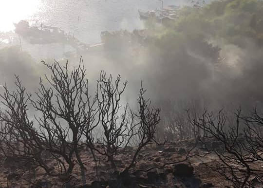 Milli Park felaketin eşiğinden döndü