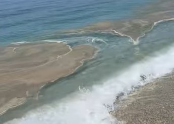 Milli Park’ta musilaj paniği!