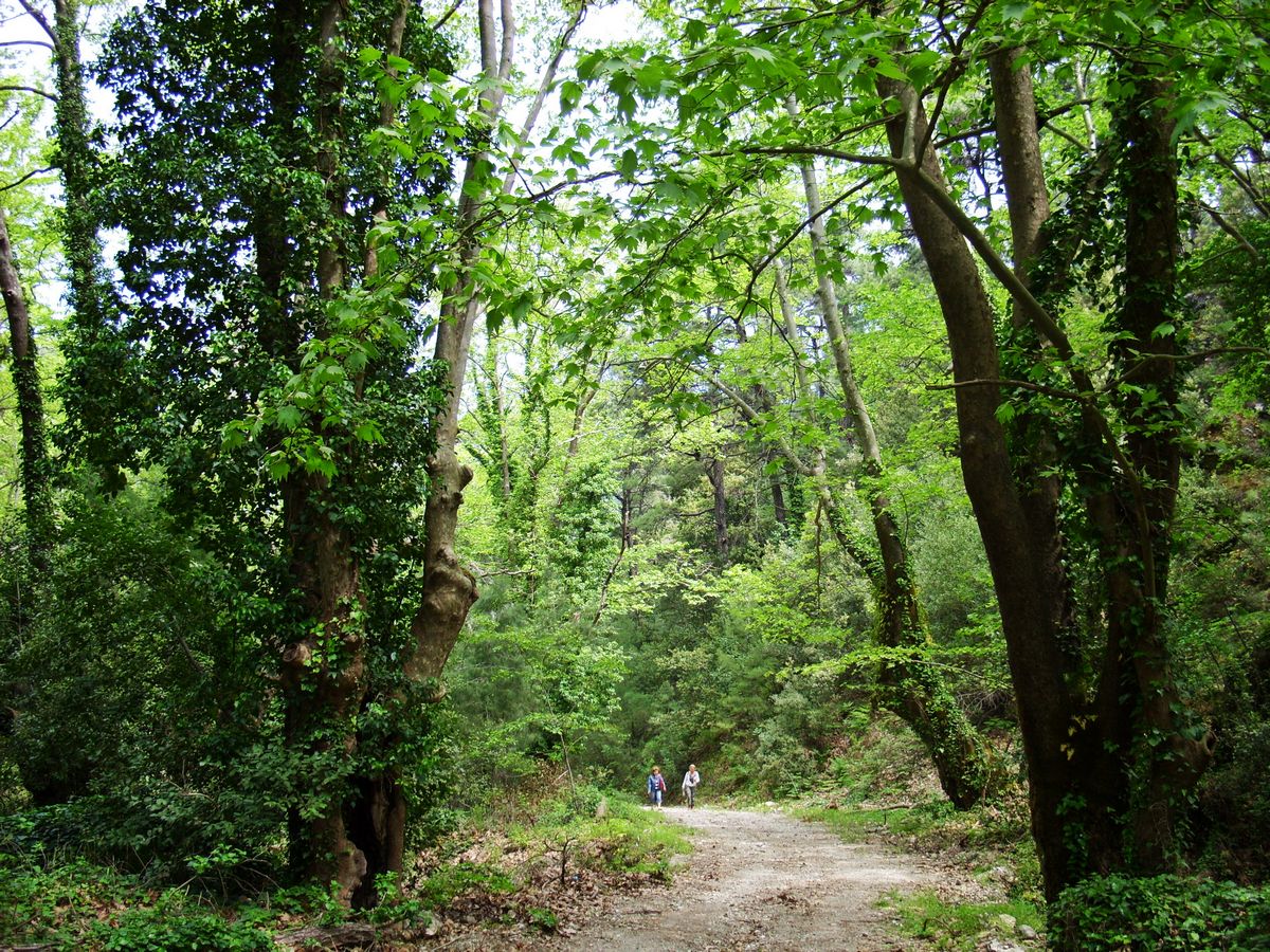 Aydın Valiliği’ne acil kodlu  çağrı; Milli Park kapatılsın!