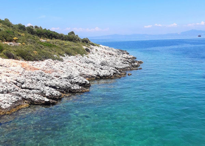 Milli Park kıyılarında can pazarı