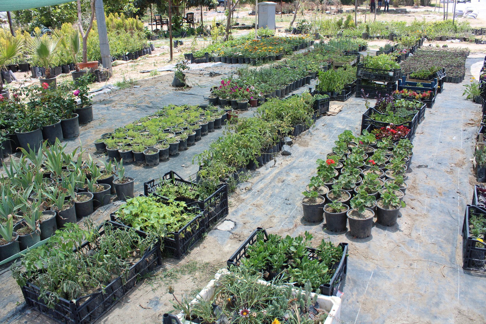 Sanki batan geminin malları!