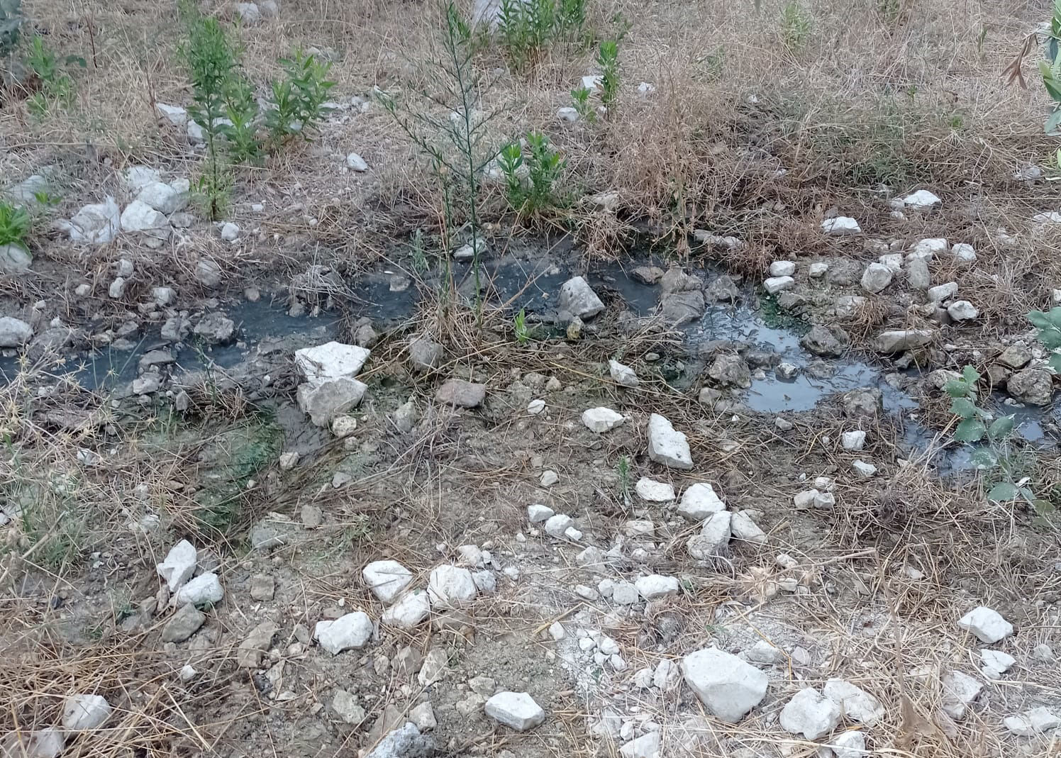 CHP’li Başkan, CHP’li Belediye yüzünden pisliğe mahkum oldu!