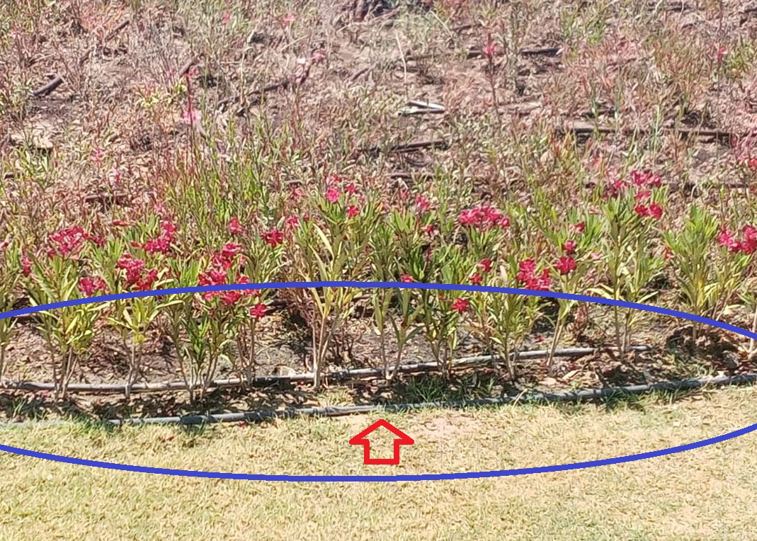 Torpilin böylesi zor görülür!