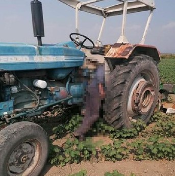 Çiftçiyi ölüm, tarlada çalışırken yakaladı