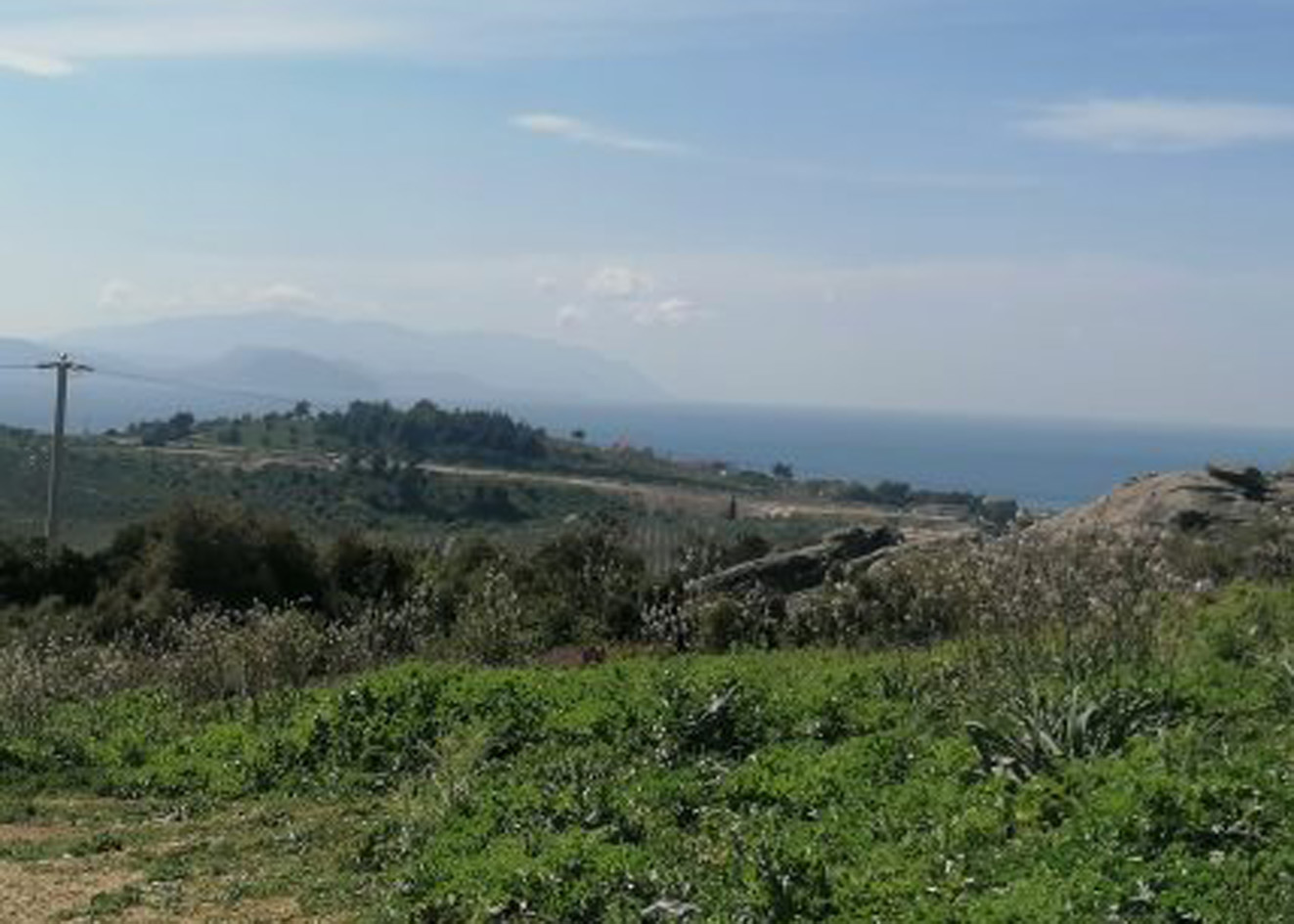 “Şer ittifakı” yine devreye girdi!