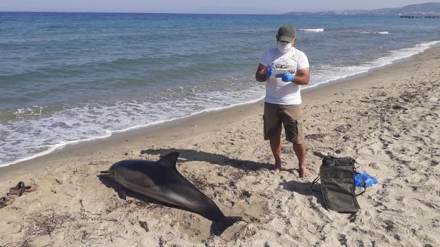 Katiller aramızda dolaşıyor!